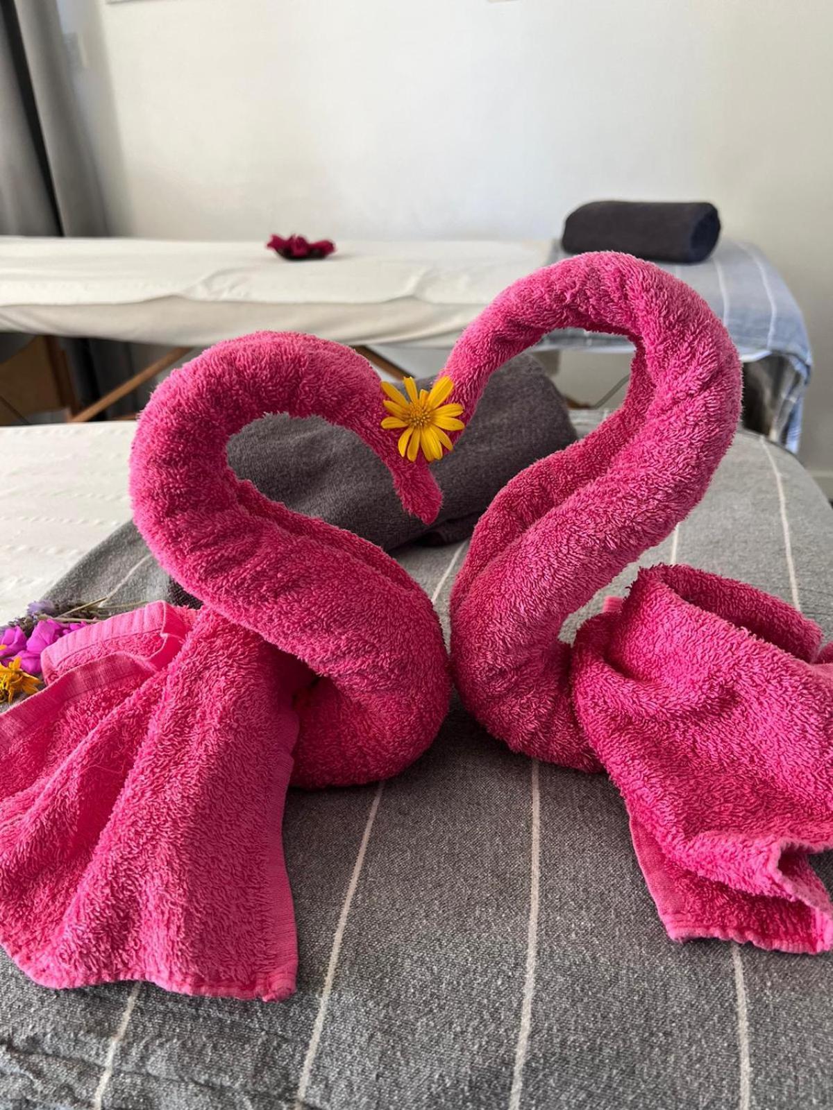 "L Eden Enchante" Chambres D'Hotes Et Spa Cote Basque 布科 外观 照片